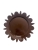 Untitled design.jpeg