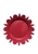 Untitled design.jpeg