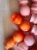 IMG_5608.jpeg